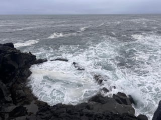 Reykjanes Peninsula Private Tour: Geothermal Areas, Volcanoes, Cliffs & Bridge Between Continents | Complimentary KEF Airport Pickup or Drop, photo 29