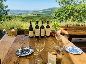 Valpolicella Wine Tasting and Cultural Tour in Marano di Valpolicella