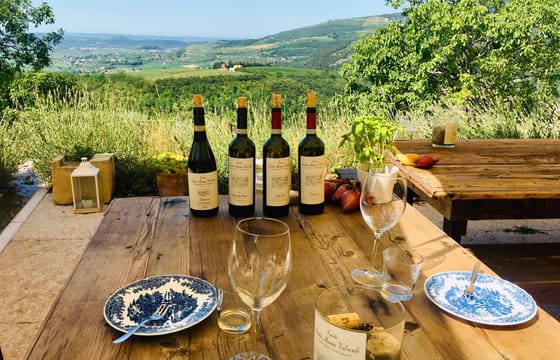 Valpolicella Wine Tasting and Cultural Tour in Marano di Valpolicella