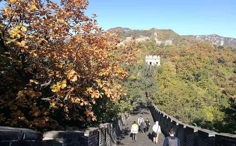 Beijing Transit Tour to Mutianyu Great Wall with Transport