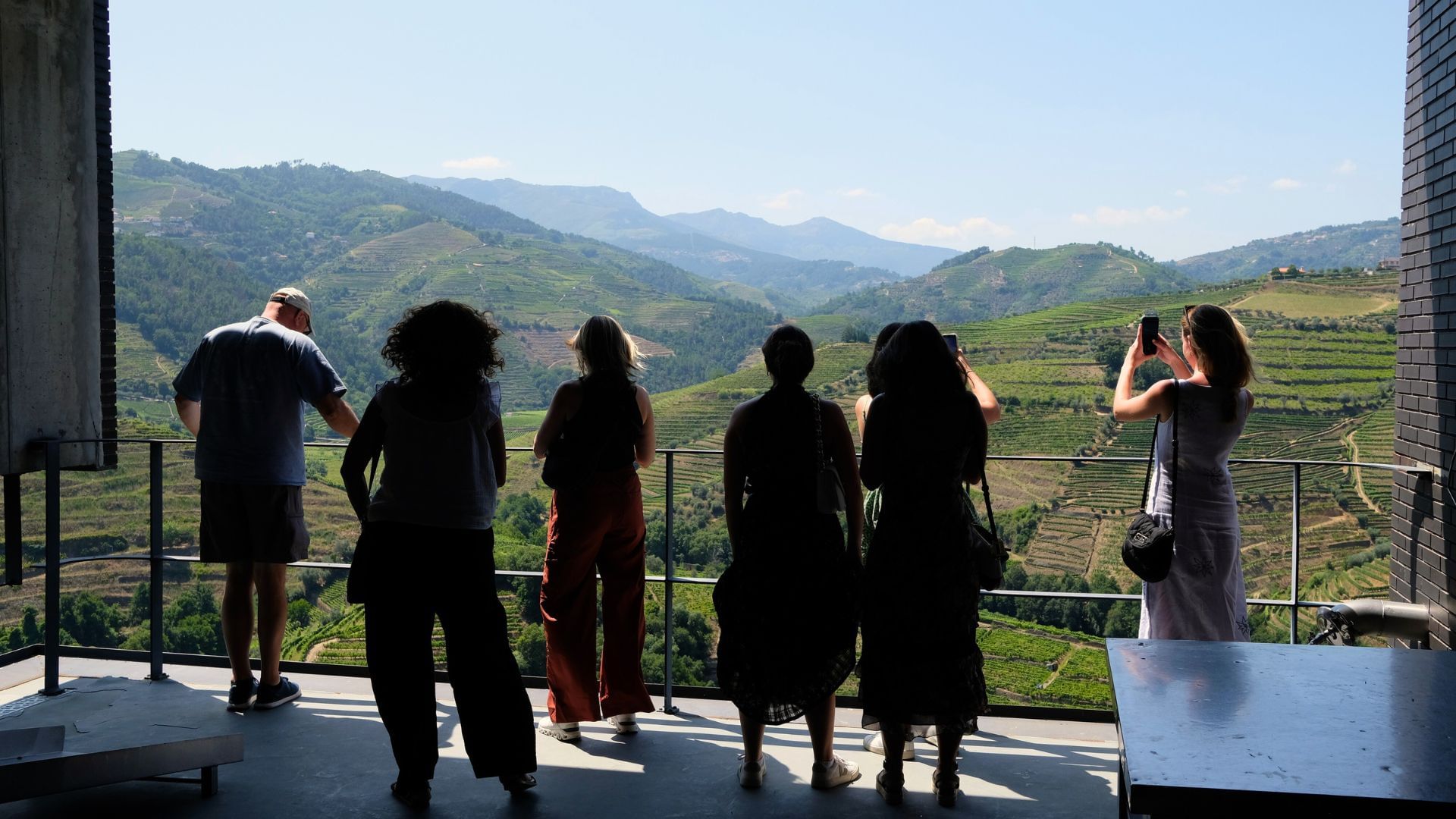 Image of a group during a winery visit with a magnificent view over the Douro Valley on Cooltour Oporto's Douro Valley Wine Tour from Porto