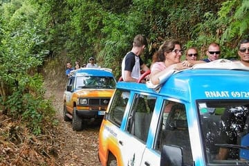 Wine Tasting and 4x4 Jeep Adventure in Camara De Lobos