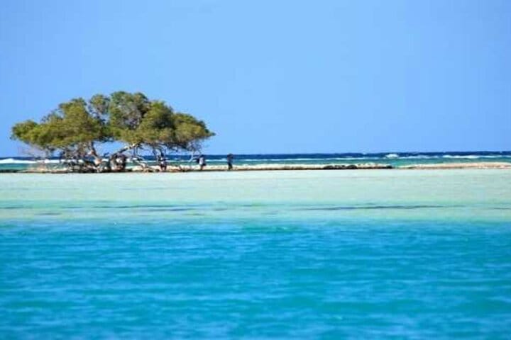 Hamata Island snorkeling Sea Trip with Lunch from Marsa Alam