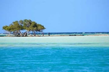 Hamata Island snorkeling Sea Trip with Lunch from Marsa Alam