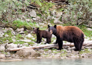 7-Day Small Group Tour: Canadian Rockies and National Parks with Camping 6