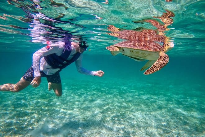 Santuario de tortugas Akumal Snorkel Experiencia marina