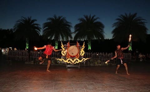 Chiang Mai Day or Night Safari Park Wildlife Experience