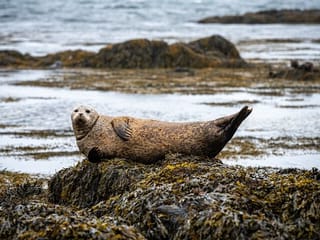 Snaefellsnes Private Tour At Iceland’s West Coast of Wonders, photo 19
