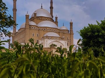 Alexandria Highlights Day Tour