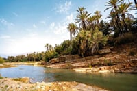Explore Taroudant &amp; Tiout Full Day Tour with Lunch - Agadir
