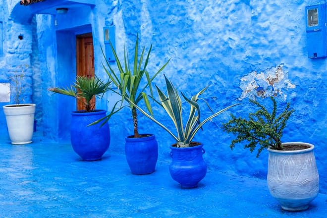 Explore the heart of Chefchaouen, where vibrant culture and stunning architecture come together in perfect harmony.
