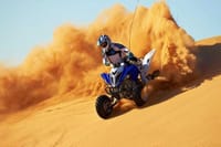 Desert Safari with 30 Minutes Quad Biking & BBQ dinner 1