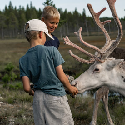 Kalastusretki soutuveneellä - Image 8