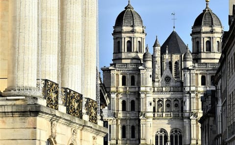 Private Guided Walking Tour of Dijon’s Cultural Heritage