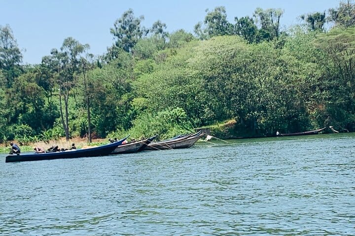 Local fishermen canoes