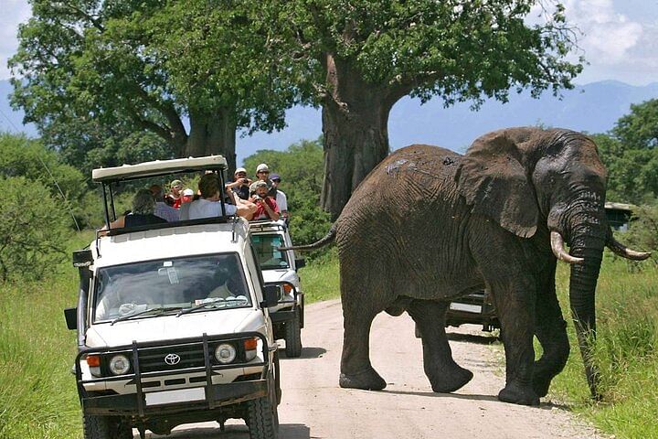 Tsavo East & West Safari Adventure from Nairobi in 4×4 Jeep