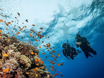 Hurghada Professional Diving Trip – Certified Divers Only