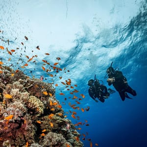 Hurghada Professional Diving Trip – Certified Divers Only