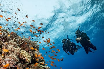 Diving Adventure in Hurghada: Explore the Red Sea Reefs