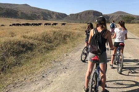 Hell’s Gate National Park & Lake Naivasha: Bike and Boat Adventure