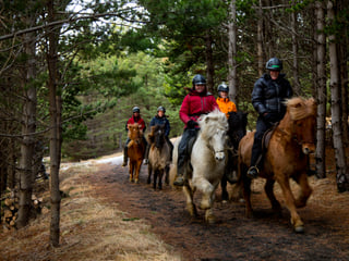 03C - Horses and Hot Springs, photo 8