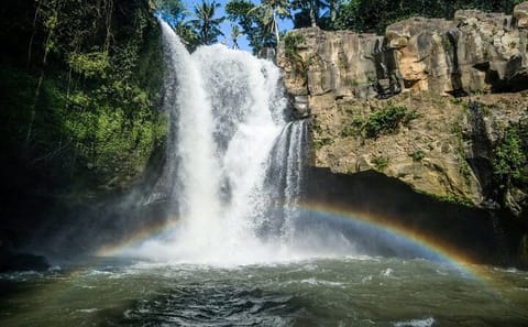 Ubud Adventure Tour: ATV Ride and Rafting Experience