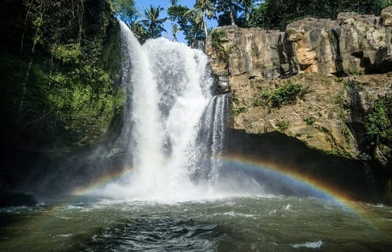 Ubud Highlights Day Tour with Bali ATV and Rafting