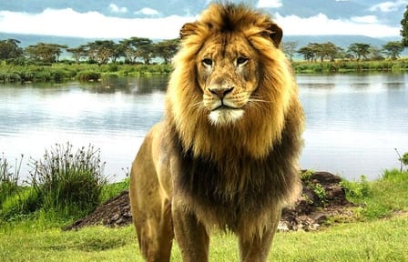 2 Days Tour Lake Nakuru Hells Gate and Lake Naivasha from Nairobi