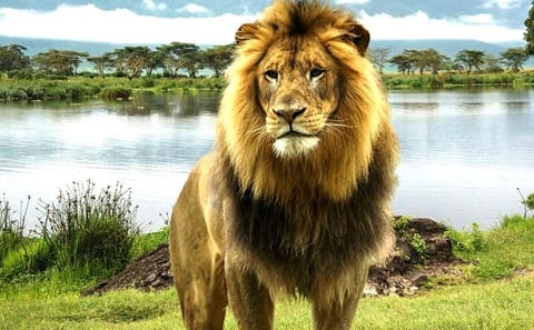 2-Day Adventure Tour of Lake Nakuru and Hell's Gate from Nairobi
