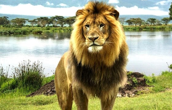 2 Days Tour Lake Nakuru Hells Gate and Lake Naivasha from Nairobi