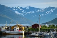 Tromsø: Scenic Fjords & Islands Small-Group Tour 7