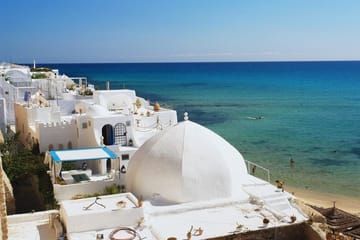 Private Cultural Tour of Hammamet and Nabeul from Tunis