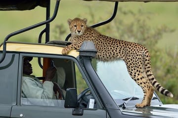 9 Days Kenya Wildlife Experience on 4X4 Jeep Safari