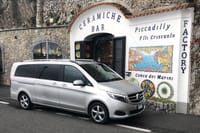 Small-Group Tour of the Amalfi Coast by Minivan with Light Lunch 5