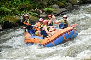 Private White Water Rafting Ubud with Bali Swing Tour