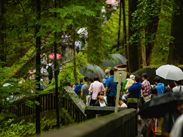 From Tokyo: Nikko Private Day Tour