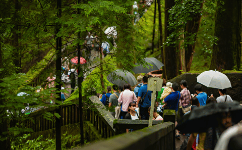 From Tokyo: Nikko Private Day Tour