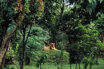 Bhubaneswar in a Day: Mystical Temples and Local Delights!