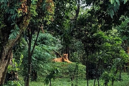 Bhubaneswar in a Day: Mystical Temples and Local Delights!