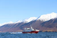 Akureyri Classic Whale Watching 10