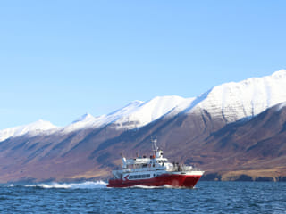 Akureyri Classic Whale Watching, photo 11