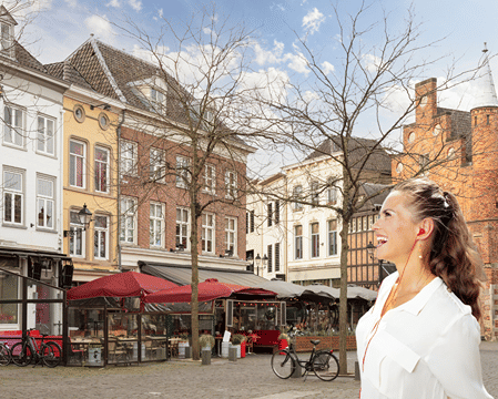 Den Bosch in 1 Day - Walking Tour - Audioguide in 7 languages