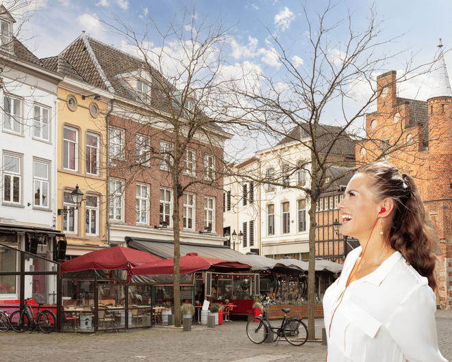 Den Bosch in 1 Day - Walking Tour - Audioguide in 7 languages