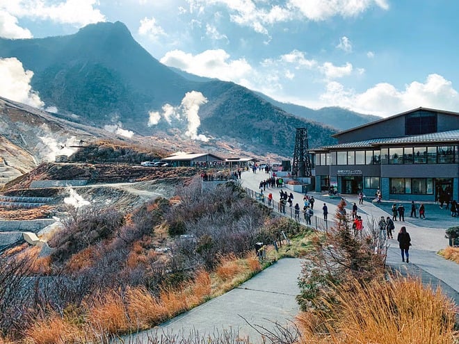 Hakone Private Vehicle Service with Restaurant Reservation