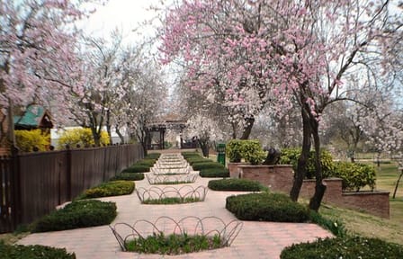 5-Day Private Car Tour of Nature in Srinagar, Kashmir