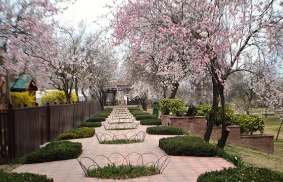 5-Days tour of paradise Kashmir.