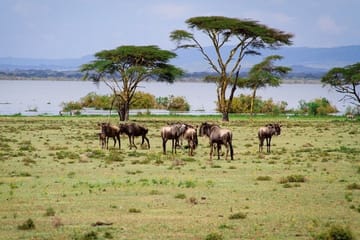 2-Day ATV and Nature Tour in Hell's Gate and Naivasha