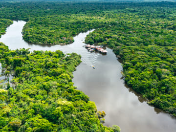 Iquitos Jungle Adventure Tour from Lima – 4 Days/3 Nights