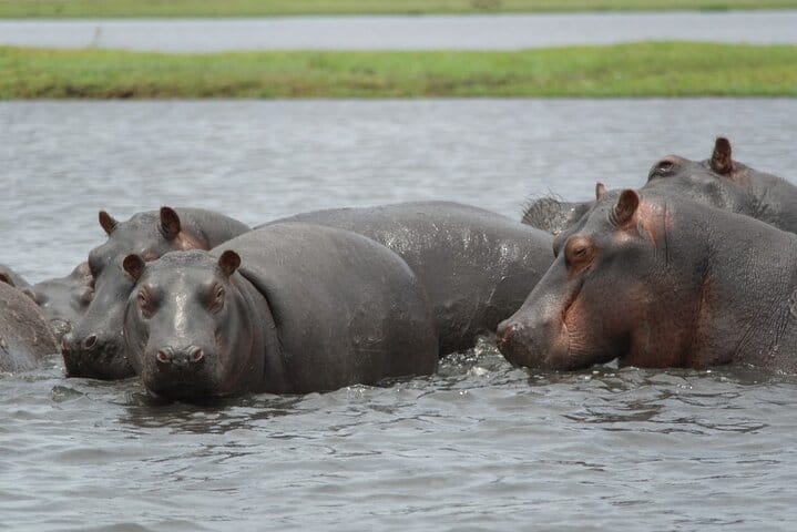 15 minutes scenic helicopter flight above Victoria Falls-Zimbabwe