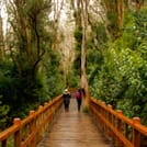 Discover Bariloche: 4 Days of Mountains and Lakes 7